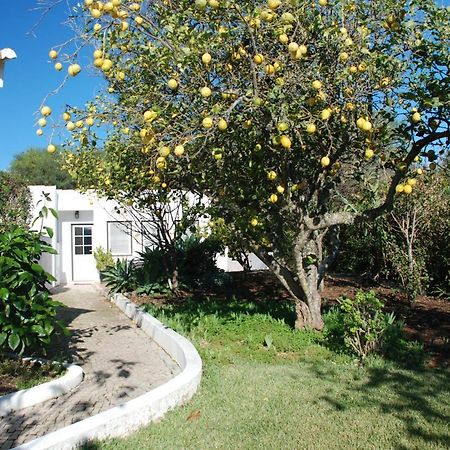 Casa Beachcomber Le Jardin Des Arts Lagos Dış mekan fotoğraf