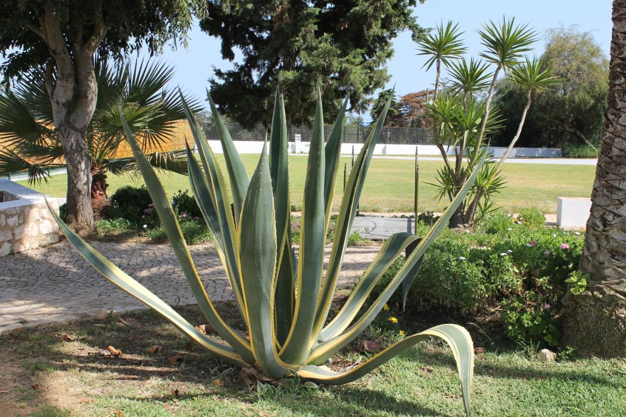 Casa Beachcomber Le Jardin Des Arts Lagos Dış mekan fotoğraf