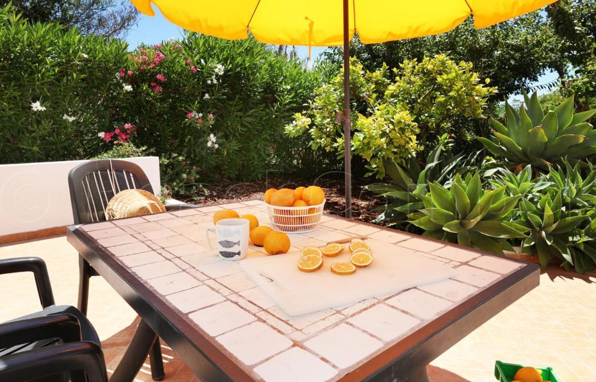 Casa Beachcomber Le Jardin Des Arts Lagos Dış mekan fotoğraf