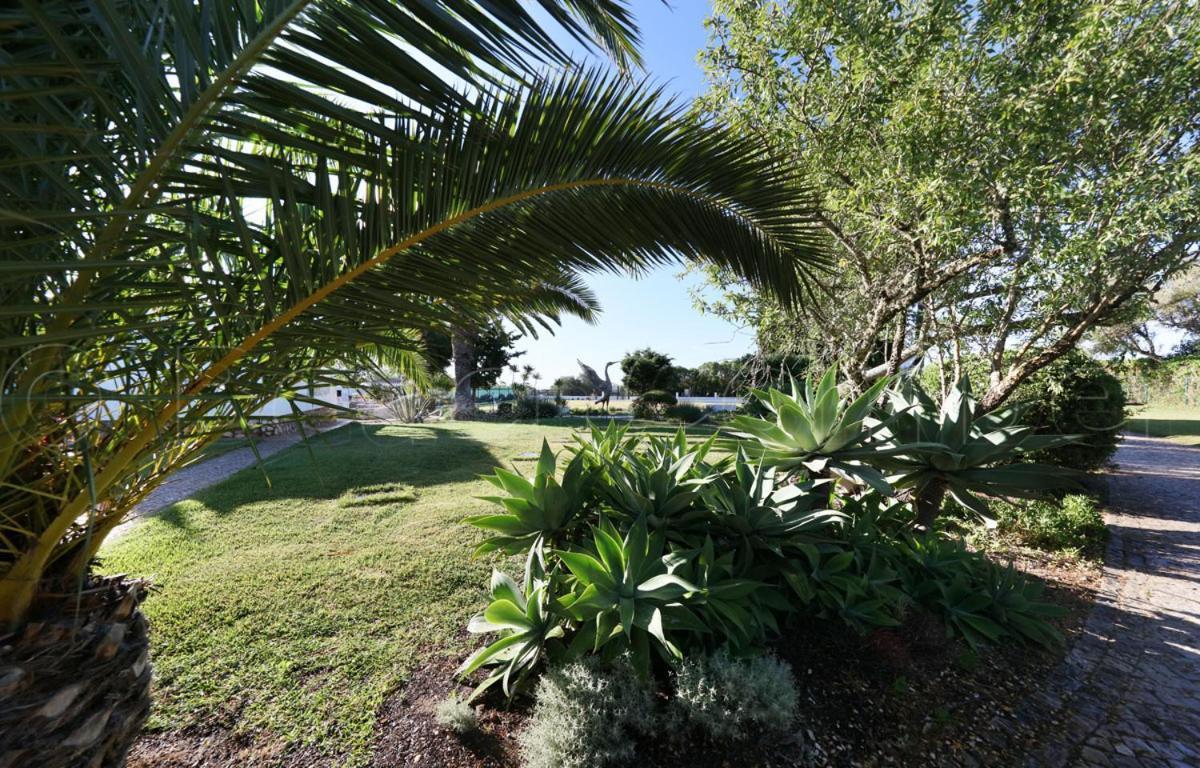 Casa Beachcomber Le Jardin Des Arts Lagos Dış mekan fotoğraf